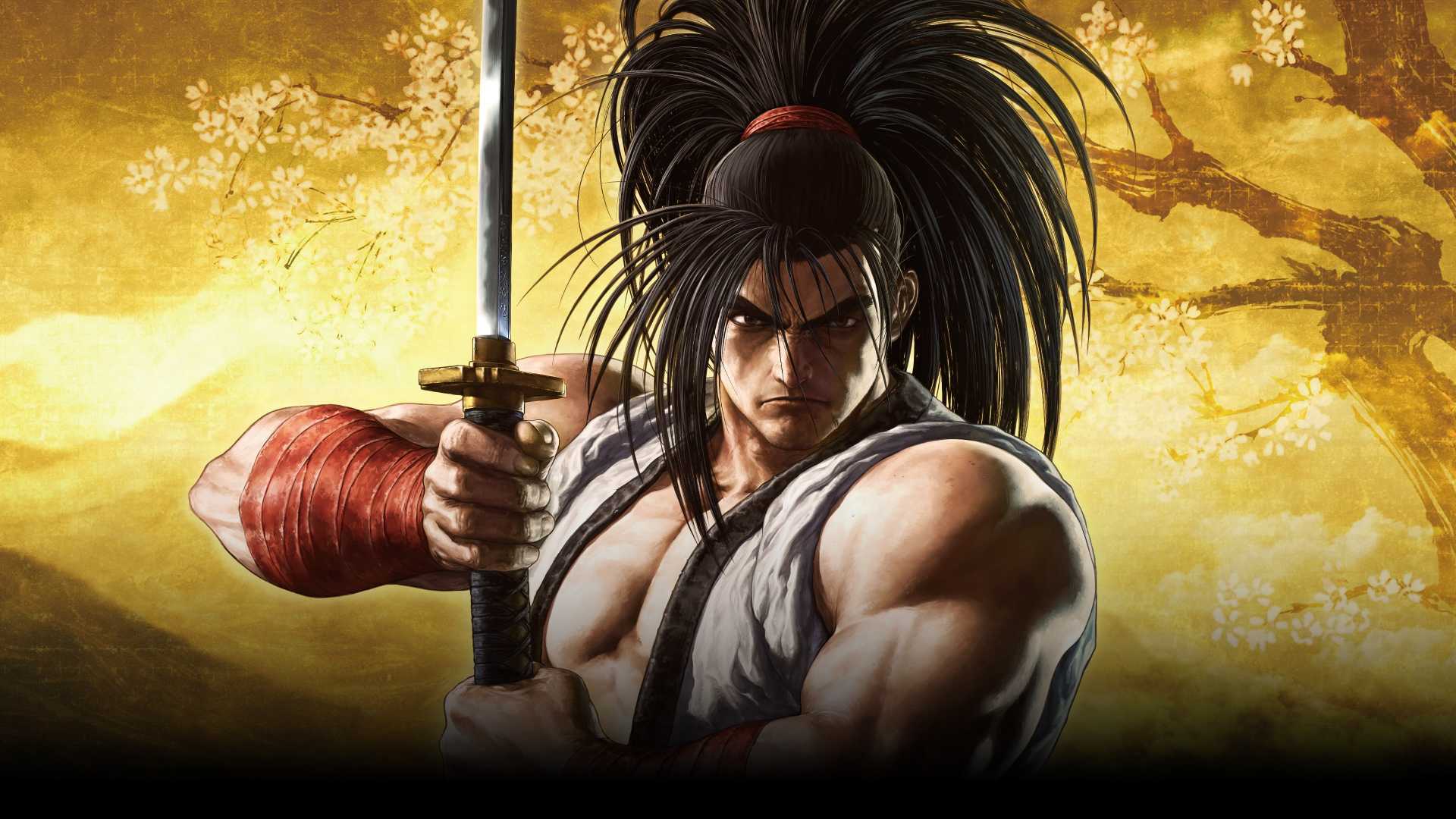 Вы сейчас просматриваете Бандл Nintendo Switch с игрой Samurai Shodown анонсирован для Юго-Восточной Азии