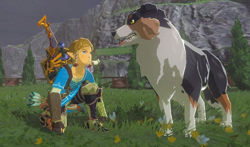 Вы сейчас просматриваете Видео: 20 стримеров соревнуются в Zelda: Breath of the Wild, Спидран за 1000 долларов